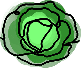 Abstract illustration of a green cabbage.