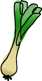 Illustration of a green and white leek.