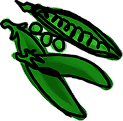 Illustrated green pea pods on black background.